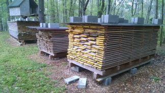 Lovely stacks of yellow-poplar and yellow pine.
